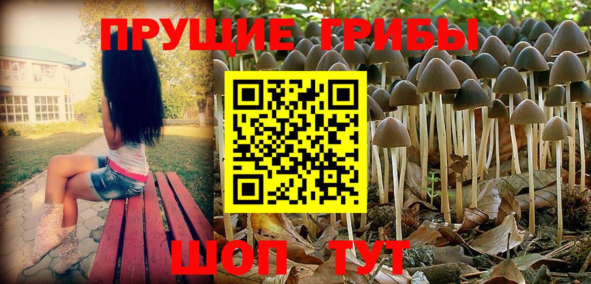 магазин продажи наркотиков  Вход с VPN  Жуковский  Галлюциногенные грибы MAGIC MUSHROOMS  Псилоцибиновые грибы Psilocybe 